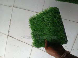 Artificial Grass