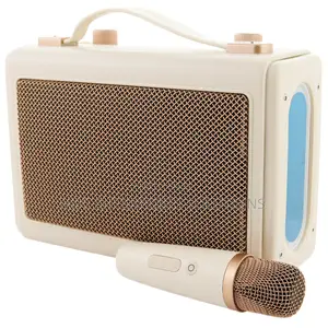 Havit SK823BT Retro Portable Karaoke Bluetooth Speaker
