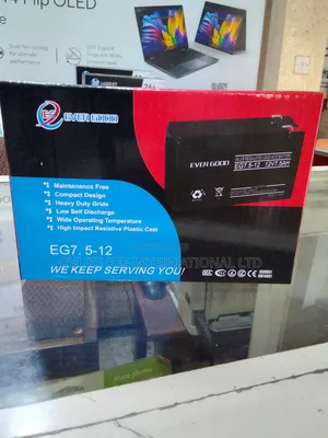 Evergood Ups Battery