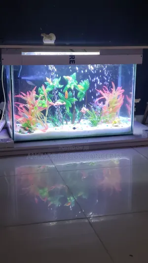 Aquarium Maintenance and Servicing