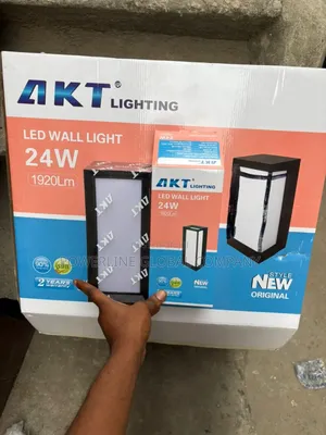 Wall Light for Homes/ Hotels/ Companies / Lounges