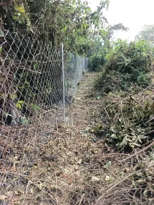 Farm Fencing