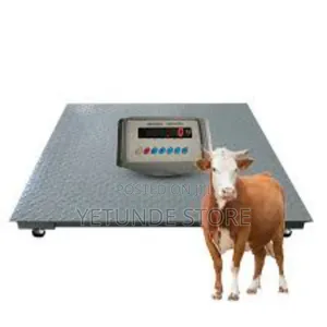 Animal Livestock Floor Scale Weighing Scale