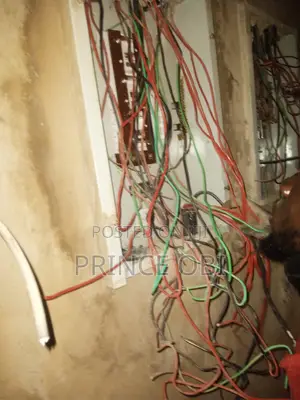 House Electrician
