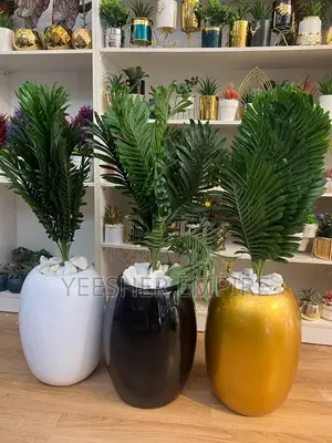 Palm Flower In Fibre Pot