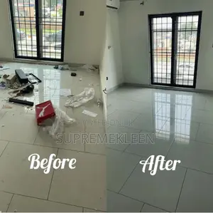 The Best Cleaning Services 