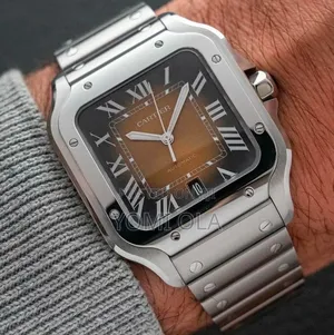 Cartier Black Brown Dial Stainless Watch