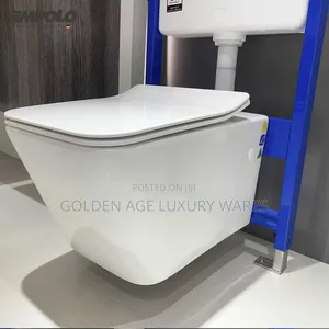 Square Shape Concealed Wc White