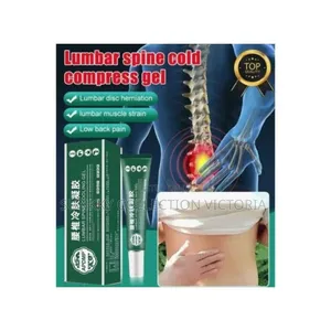 Lumbar Spine Cooling Gel Very Effective 2pcs Packed