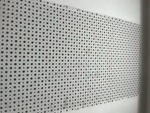 Acoustic Perforated Board , Anti Eco Board