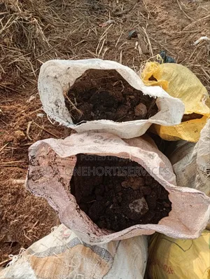 Get the Best Soil for Your Green Garden Setup