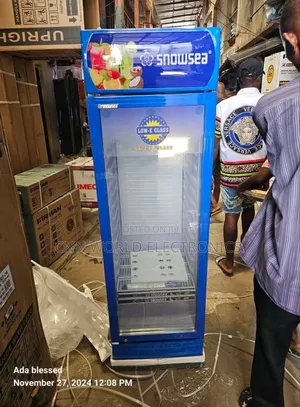 Snowsea 400L Standing Showcase Chiller Fridge for Business