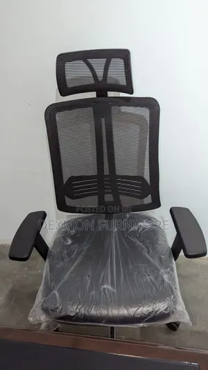 Classic Argonomic Chair