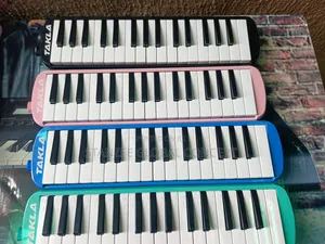 Professional Melodica