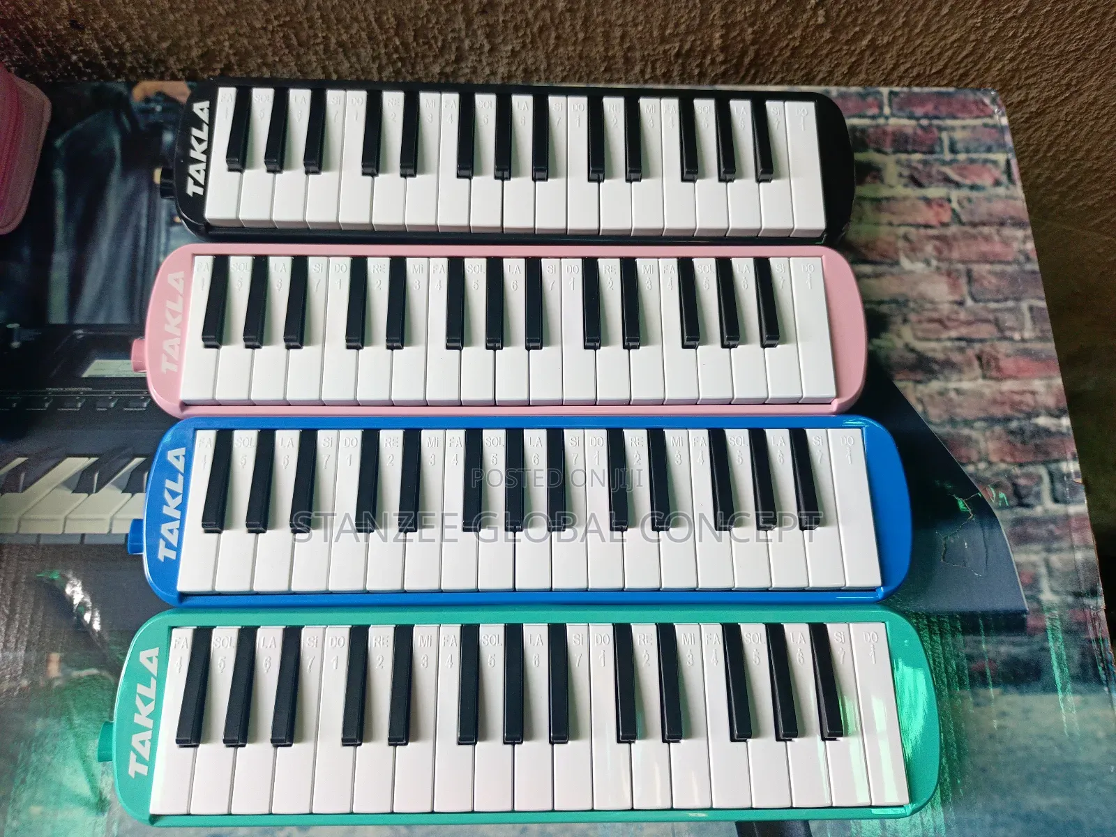 Professional Melodica