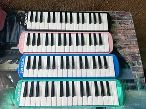 Professional Melodica