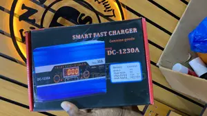 Dc12v 30a Battery Charger for Cars and Inverters