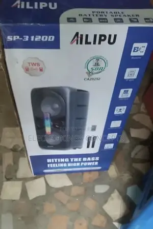 Portable Party Speaker With Double Microphone
