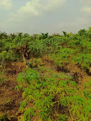 15 Acres of Land Facing Lagos/Ibadan Commercial Use
