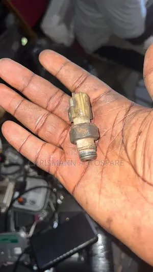Oil Switch Ford Edge,Explorer