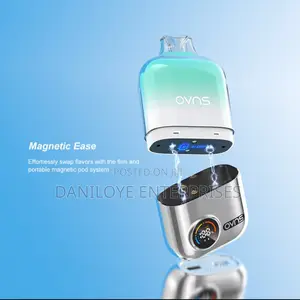 Replaceable Pod Vape Spearmint 12000puffs