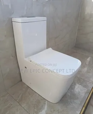 Toilet With Wash Hand Basin