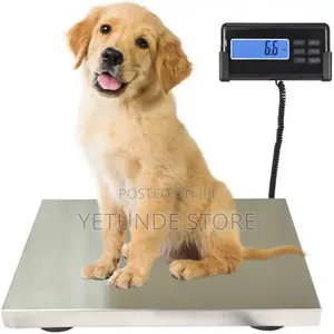Dog Weighing Scale