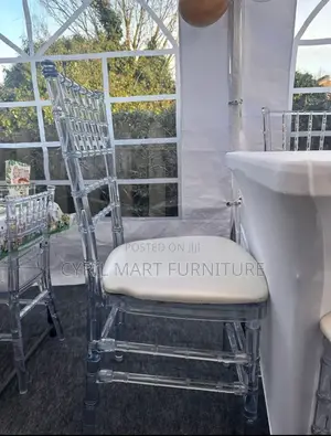 Transparent Chivalry With Seat Pad