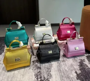 DG Luxury Handbags