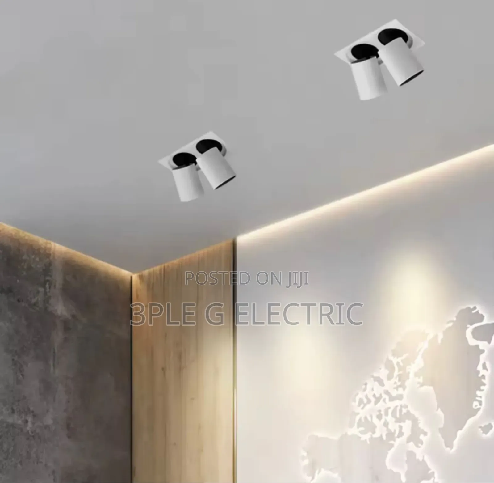 Double Ceiling Mounted Spot Light