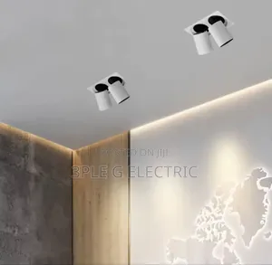 Double Ceiling Mounted Spot Light