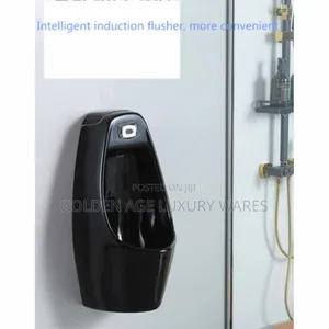 Black Sensor Urinal Bowl