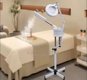 New Gain Facial Steamer