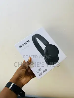 Sony Wh-Ch520
