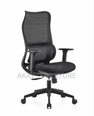 Ergonomic Office Chair