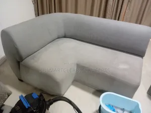 Couch and House Cleaning Services