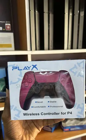 PS4 Pad (Copied PS5)