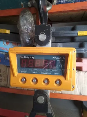 Digital Crane Scale 3t