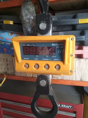 Digital Crane Scale 3t