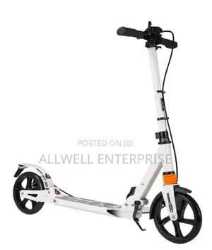 Adult Scooter