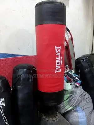 Everlast Punching Bagb101