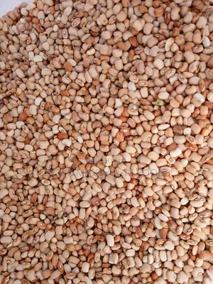 Picked Honey Beans Grade 1