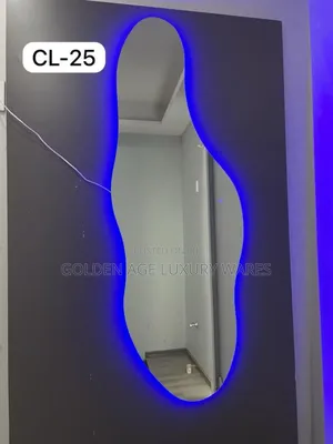 Dolphin Shaped Mirror