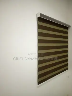 Bedroom Day and Night Window Blinds