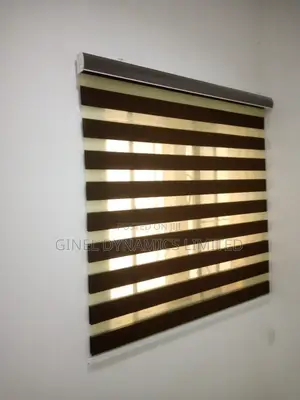 Smart Day and Night Window Blinds