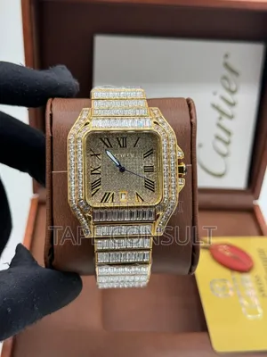 Original Luxury Cartier Santos Ice Wrist Watch