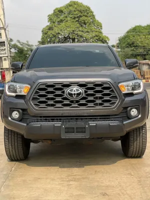 Toyota Tacoma Limited V6 4x4 Double Cab 127.4 in. WB 2020 Gray