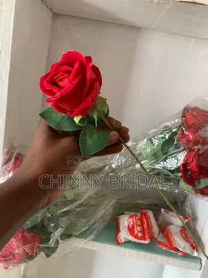 Fluffy Single Rose Flower