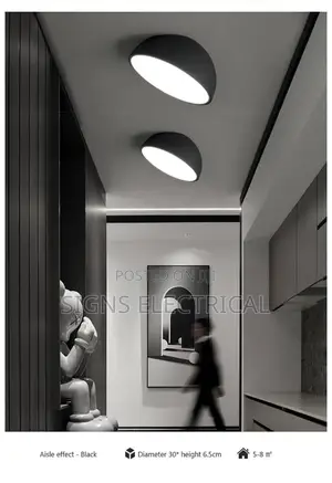 White Black Acrylic Lamp Creative Led Ceiling Lamp