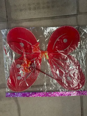 Different Colour of Children Butterfly